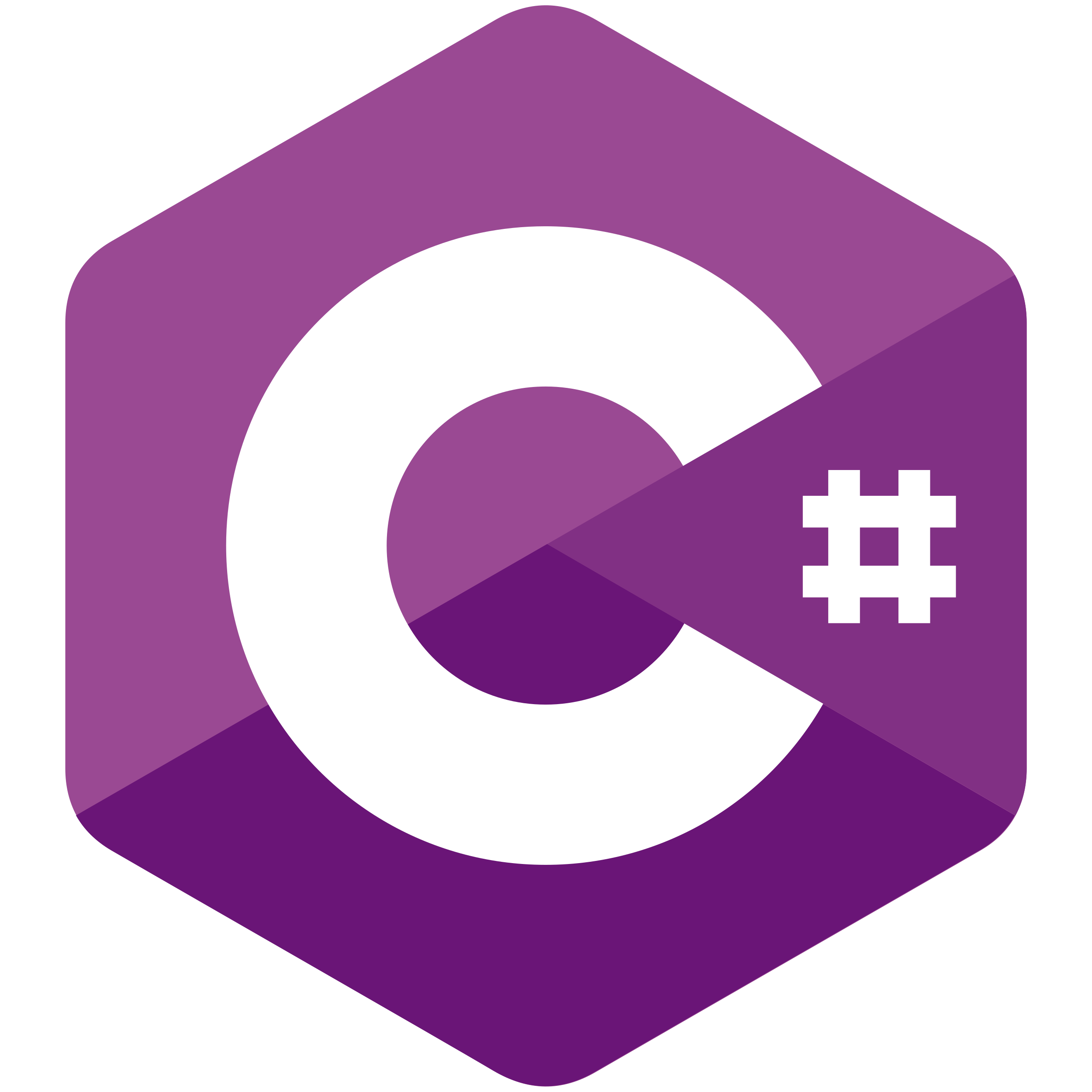C# (Programming Language)